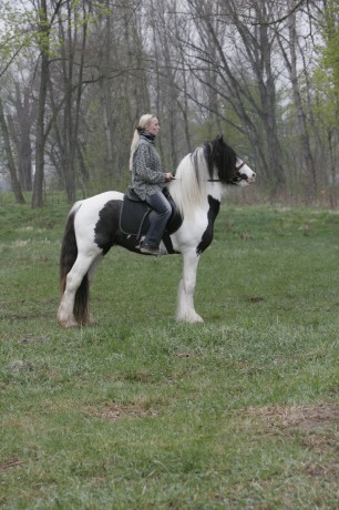 pod sedlem3