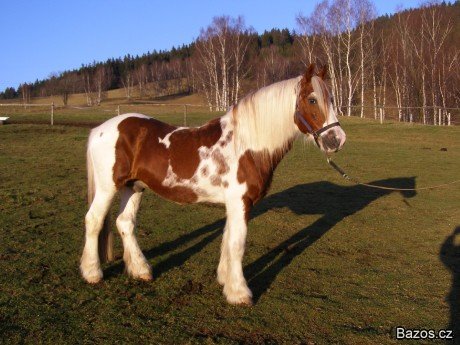 krása