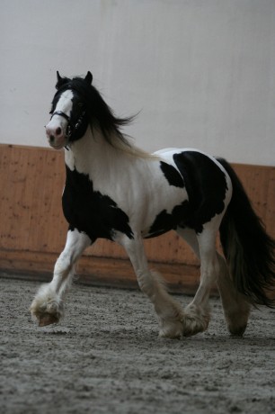 klusík